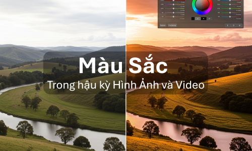 course thumbnail